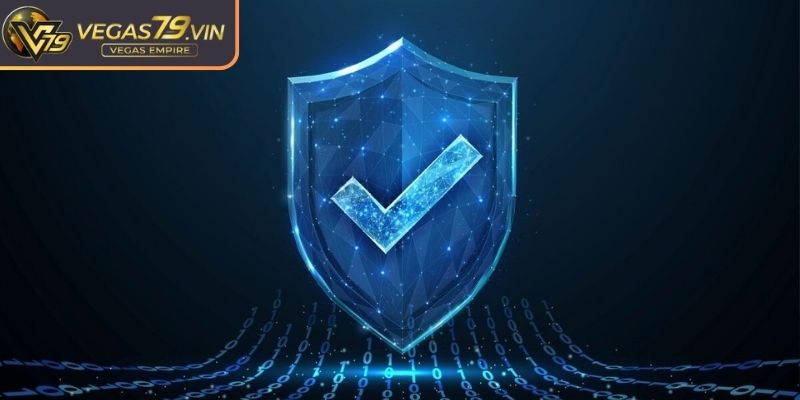 Khái quát sơ qua về chính sách bảo mật Vegas79
